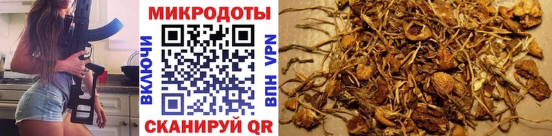 наркотики Сретенск Галлюциногенные грибы мицелий